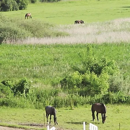 Hébergement de vacances Herrenhaus